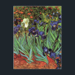Irises by Vincent van Gogh, Vintage Garden Art Postcard<br><div class="desc">Irises (1889) by Vincent van Gogh is a vintage fine art post impressionism landscape floral painting featuring a garden with purple bearded irises growing by orange poppies. A single white iris flower is blooming at the edge. About the artist: Vincent Willem van Gogh (1853 -1890) was one of the most...</div>