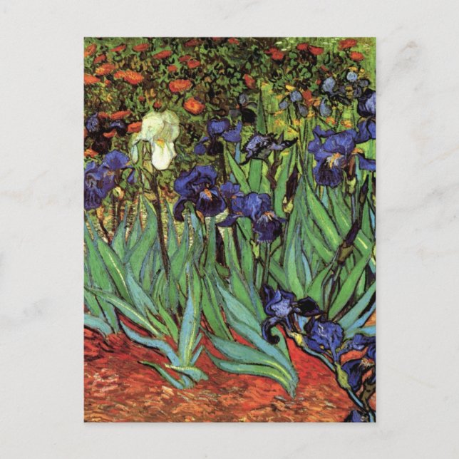 Irises by Vincent van Gogh, Vintage Garden Art Postcard (Front)