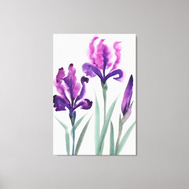 Irises Canvas Print (Front)