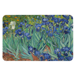 Irises, Floral Oil Painting, Vincent Van Gogh Magnet