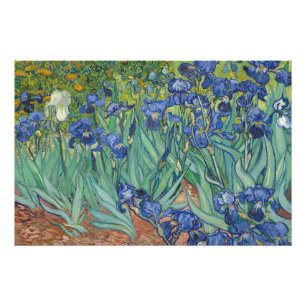 Irises, Floral Oil Painting, Vincent Van Gogh Photo Print