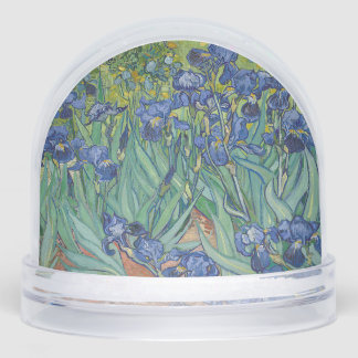 Irises, Floral Oil Painting, Vincent Van Gogh Snowglobe