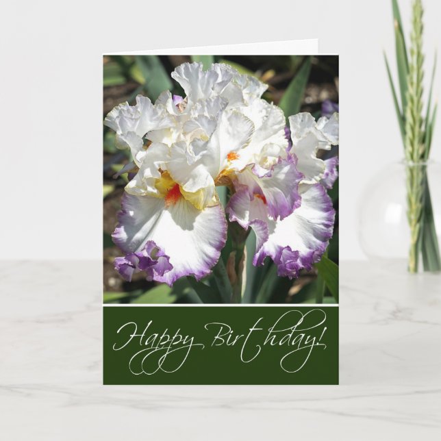 Irises Greeting Card (Front)