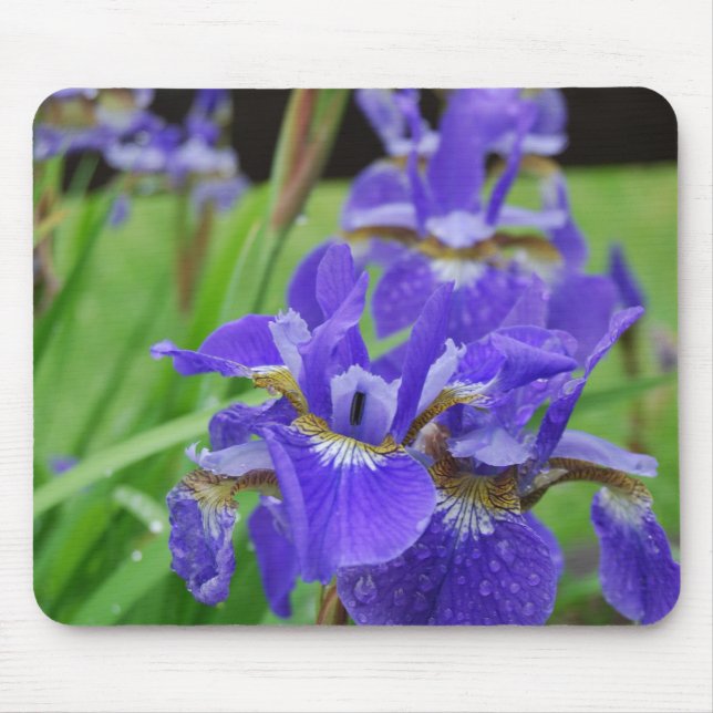 Irises in the Garden Mouse Mat (Front)