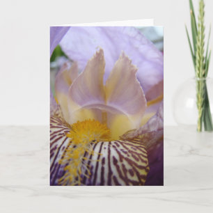 IRISES IRIS Flowers GREETING CARDS Note CARDS