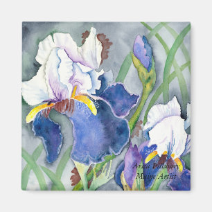IRISES Magnet