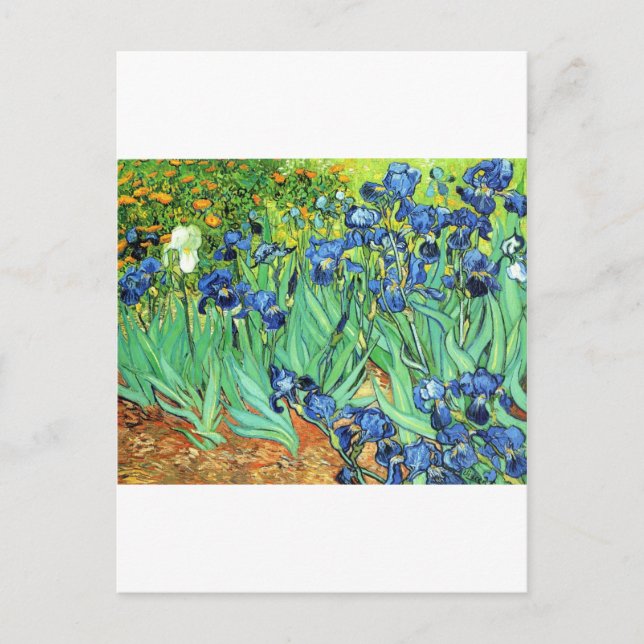 Irises ~ Monet Postcard (Front)