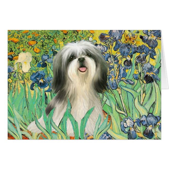 Irises - Shih Tzu (#3) (Front Horizontal)