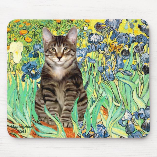 Irises - Tabby Tiger cat 30 Mouse Mat (Front)