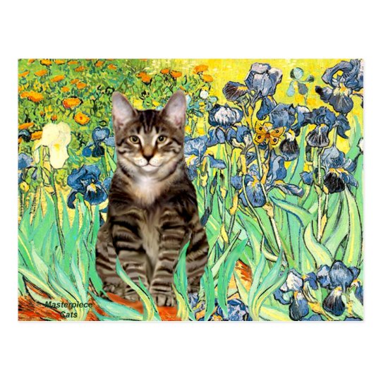 Irises - Tabby Tiger cat 30 Postcard