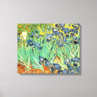 Irises - Van Gogh - c1889 Canvas Print