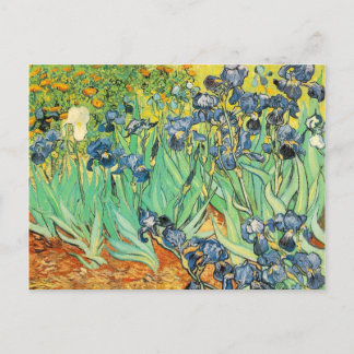 Irises - Van Gogh - c1889 Postcard