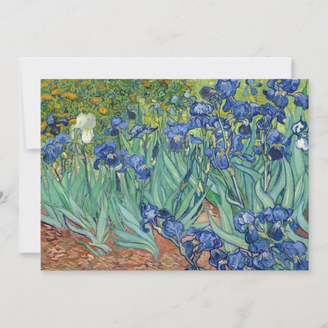 Irises | Vincent van Gogh (Front)