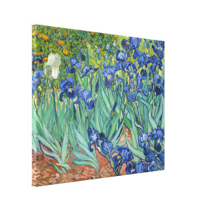 Irises   Vincent Van Gogh Canvas Print