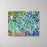 Irises | Vincent Van Gogh Canvas Print<br><div class="desc">Irises (1889) by Dutch post-impressionist artist Vincent Van Gogh. Original landscape painting is an oil on canvas showing a garden of blooming iris flowers. 

Use the design tools to add custom text or personalise the image.</div>