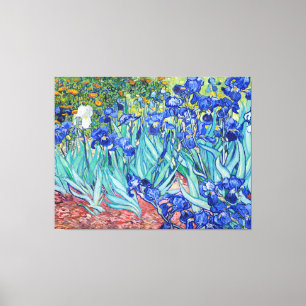 Irises  Vincent van Gogh Canvas Print