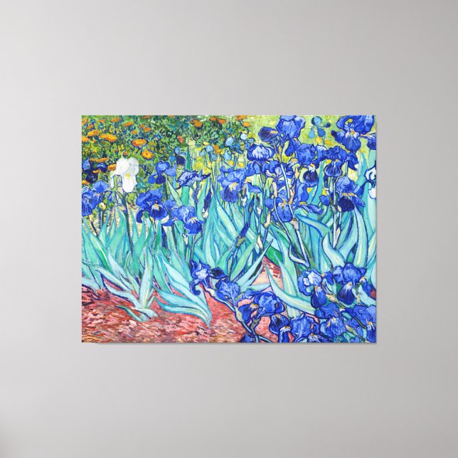 Irises  Vincent van Gogh Canvas Print (Front)