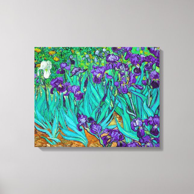 Irises, Vincent van Gogh  Canvas Print (Front)