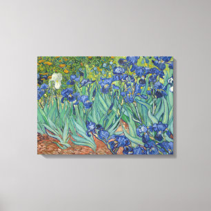 IRISES VINCENT VAN GOGH Canvas Print