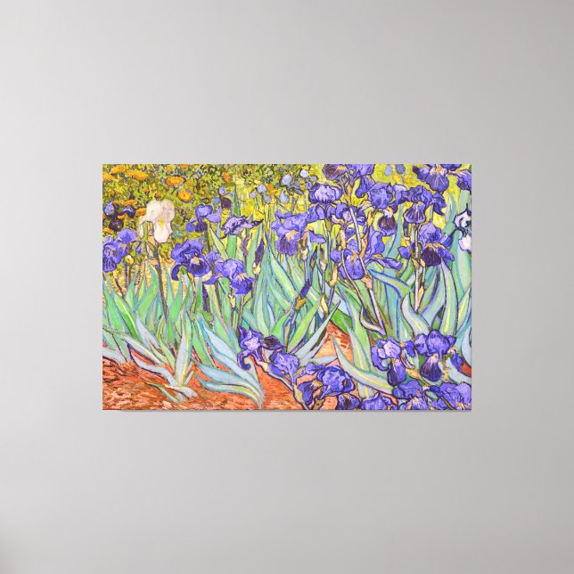 Irises Vincent Van Gogh Fine Art Canvas Print (Front)
