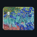 Irises  Vincent van Gogh  Magnet<br><div class="desc">Irises (1889) Vincent van Gogh. Reproduction of famous works of art  images in the public domain.</div>