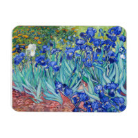 Irises  Vincent van Gogh 