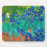 Irises, Vincent van Gogh