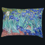 Irises  Vincent van Gogh    Pet Bed<br><div class="desc">Irises (1889) Vincent van Gogh.Cute summer landscape. Blue irises bloom in a flowerbed in a green garden.  Reproduction of famous works of art  images in the public domain.</div>