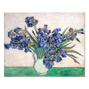 Irises   Vincent van Gogh   Photo Print