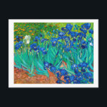 Irises, Vincent van Gogh Postcard<br><div class="desc">Vincent Willem van Gogh (30 March 1853 – 29 July 1890) was a Dutch post-impressionist painter who is among the most famous and influential figures in the history of Western art. In just over a decade, he created about 2, 100 artworks, including around 860 oil paintings, most of which date...</div>