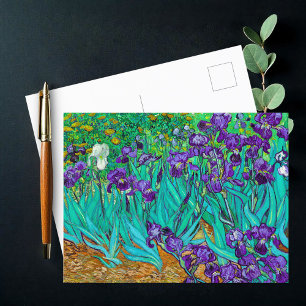 Irises, Vincent van Gogh Postcard