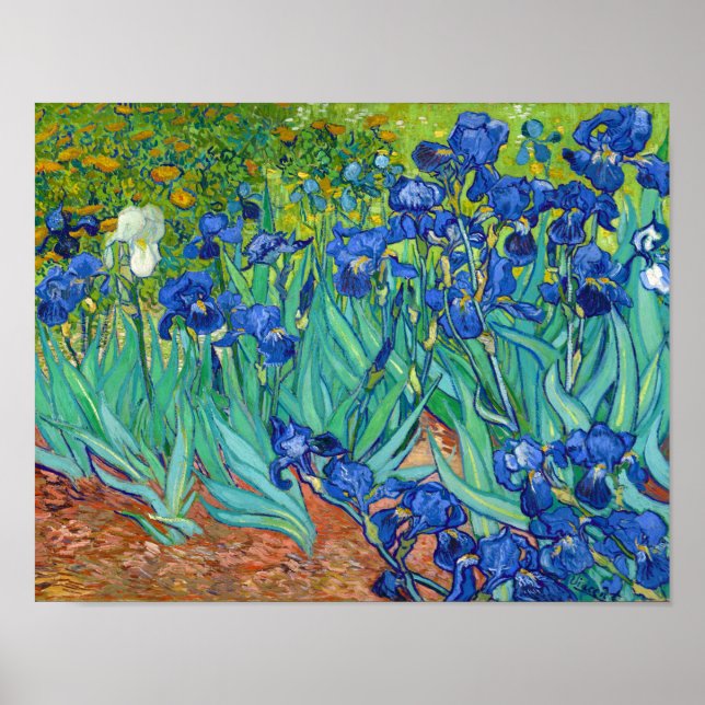 Irises, Vincent van Gogh Poster (Front)