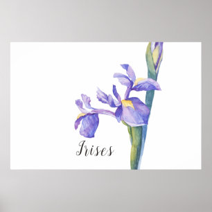Irises Watercolor Floral Poster