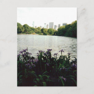 irisesmmm 001 postcard