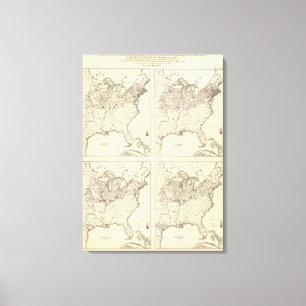 Irish and German Population 1870 Canvas Print