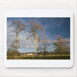 Irish Beech Trees Mouse Mat
