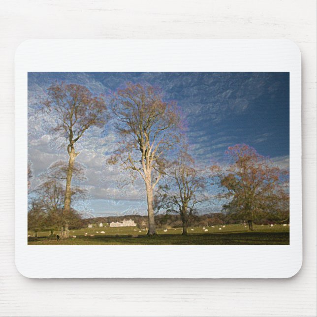 Irish Beech Trees Mouse Mat (Front)