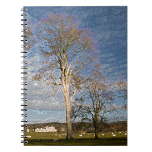 Irish Beech Trees Notebook