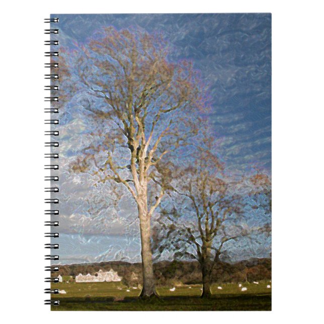 Irish Beech Trees Notebook (Front)