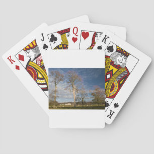 Irish Beech Trees Playing Cards