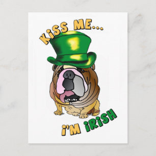 Irish Bulldog Postcard