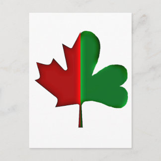 Irish Canadian Postcard