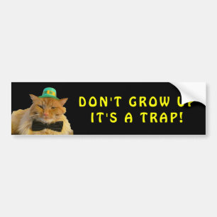 Irish Cat Says Don't Grow Up Meme Bumper Sticker