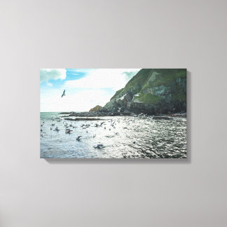 Irish coastline view canvas print