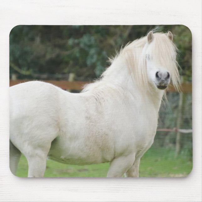 Irish Cob horse Mousepad (Front)
