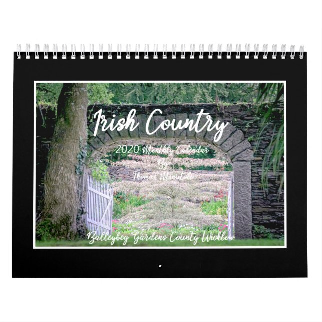 Irish Country 2020 Calendar By Tom Minutolo (Cover)