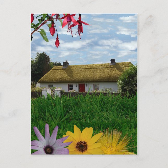 Irish country living postcard (Front)
