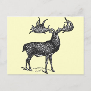 Irish Deer Postcard