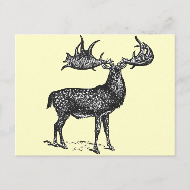 Irish Deer Postcard (Front)