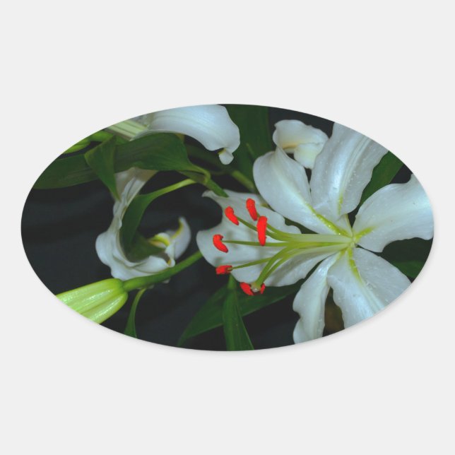 Irish Design-Brass and Flower Collection Oval Sticker (Front)